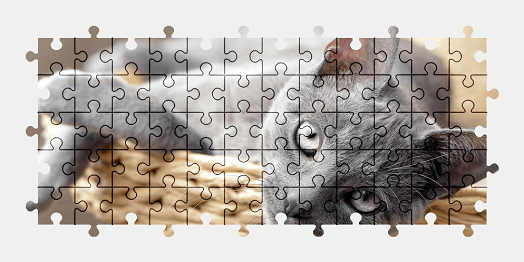 Jigsaw puzzle online cat,animal,pet