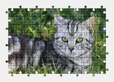 Jigsaw puzzle online cat,animal,colorful