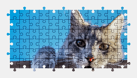Jigsaw puzzle online cat,animal,colorful
