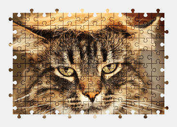Jigsaw puzzle online funny,cat,animal,pet,colorful