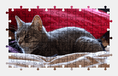 Jigsaw puzzle online cat,animal,pet,colorful