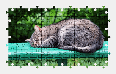 Jigsaw puzzle online cat,animal,colorful