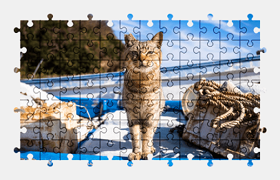 Jigsaw puzzle online cat,animal,boat,colorful