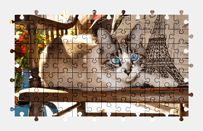 Jigsaw puzzle online cat,animal,colorful,pet