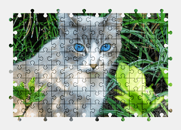 Jigsaw puzzle online cat,animal,colorful