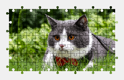 Jigsaw puzzle online cat,animal,colorful