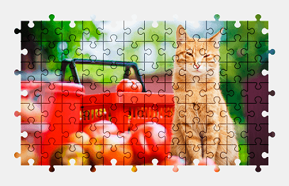 Jigsaw puzzle online cat,animal,colorful