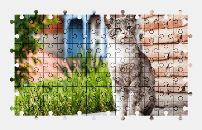 Jigsaw puzzle online cat,animal,colorful