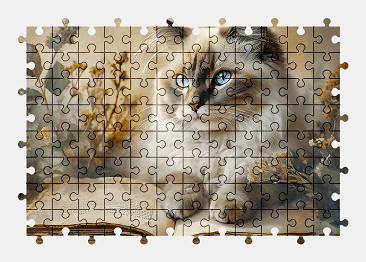 Jigsaw puzzle online cat,pet,animal