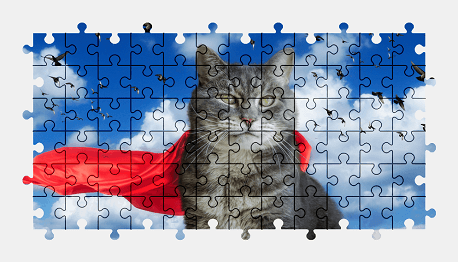 Jigsaw puzzle online cat,pigeon,animal,colorful,funny