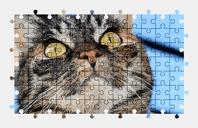 Jigsaw puzzle online cat,animal,pet,colorful