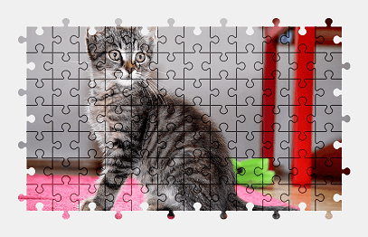 Jigsaw puzzle online cat,kitten,pet,animal