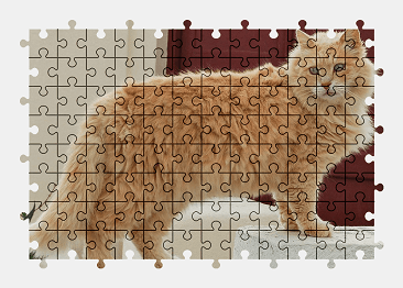 Jigsaw puzzle online cat,animal,pet