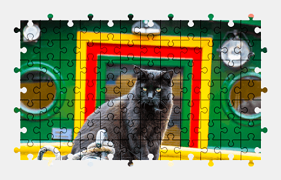 Jigsaw puzzle online black,cat,animal,boat,colorful