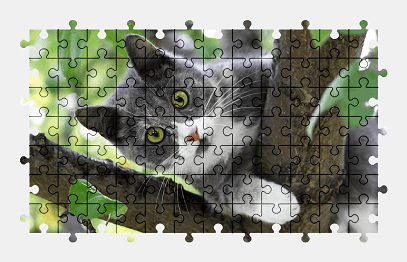 Jigsaw puzzle online cat,animal,tree,nature,colorful