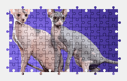 Jigsaw puzzle online sphynx,cat,exotic,pet,animal,colorful