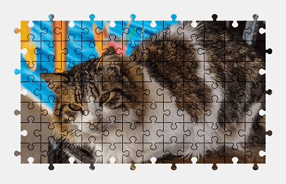 Jigsaw puzzle online cat,animal