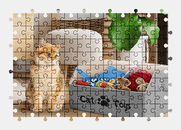 Jigsaw puzzle online cat,toy,animal,pet,colorful