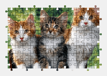 Jigsaw puzzle online cat,animal,colorful