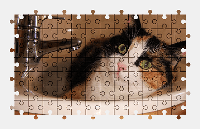 Jigsaw puzzle online cat,pet,animal