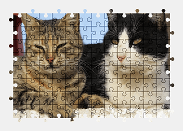 Jigsaw puzzle online cat,relax,pet,animal