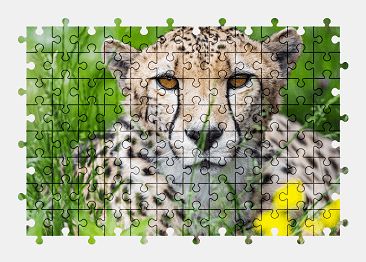Jigsaw puzzle online cheetah,animal,nature,colorful
