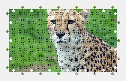 Jigsaw puzzle online cheetah,big-cat,zoo,animal,colorful