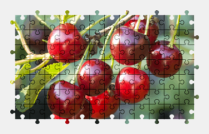 Jigsaw puzzle online cherry,fruit,food,colorful