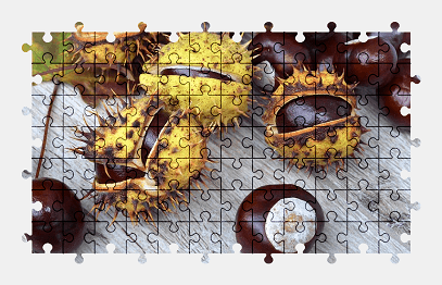 Jigsaw puzzle online autumn,colorful