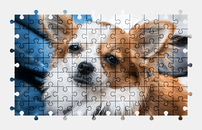 Jigsaw puzzle online chihuahua,dog,animal,pet,adorable,colorful