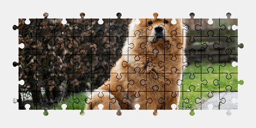 Jigsaw puzzle online dog,animal,colorful