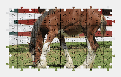 Jigsaw puzzle online horse,pasture,animal