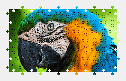 Jigsaw puzzle online colorful,parrot,bird,animal