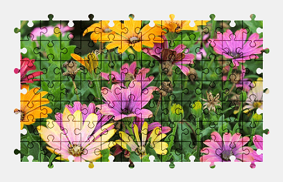 Jigsaw puzzle online colorful,flower,nature,plant