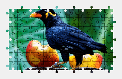 Jigsaw puzzle online bird,animal,colorful