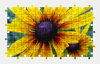 Jigsaw puzzle online flower,yellow,nature