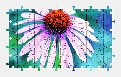 Jigsaw puzzle online echinacea,flower,colorful,nature