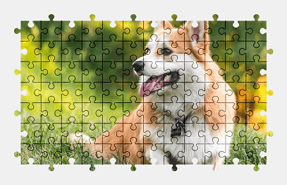 Jigsaw puzzle online welsh-corgi,dog,animal,colorful