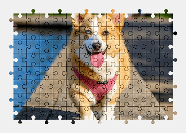 Jigsaw puzzle online welsh-corgi,dog,animal,pet,colorful