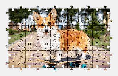 Jigsaw puzzle online welsh-corgi,dog,animal,colorful