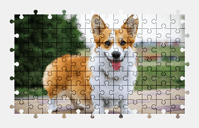 Jigsaw puzzle online welsh-corgi,dog,animal,pet,colorful