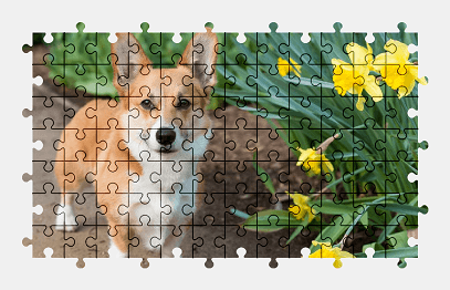 Jigsaw puzzle online welsh-corgi,dog,animal,flower,colorful,nature
