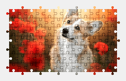 Jigsaw puzzle online welsh-corgi,dog,animal,colorful