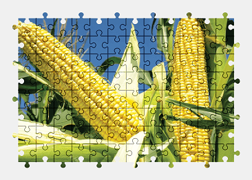 Jigsaw puzzle online plant,food,colorful
