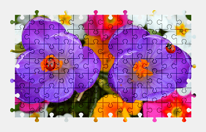 Jigsaw puzzle online crocus,flower,colorful,nature