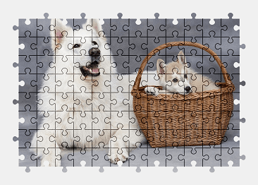 Jigsaw puzzle online white,husky,dog,animal,puppy,cute,pet,colorful