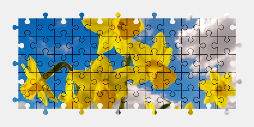 Jigsaw puzzle online flower,plant,colorful,nature