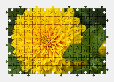 Jigsaw puzzle online yellow,flower,nature,colorful