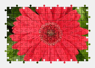 Jigsaw puzzle online red,gerbera,flower,bloom,blossom,nature,colorful