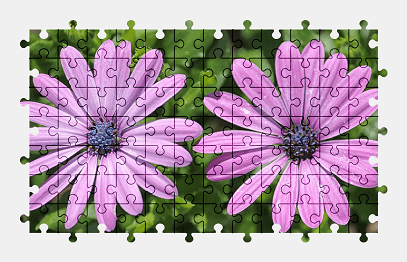 Jigsaw puzzle online flower,purple,nature,colorful